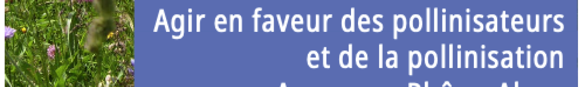 Plan régional pollinisateurs et pollinisation - ARTHROPOLOGIA
