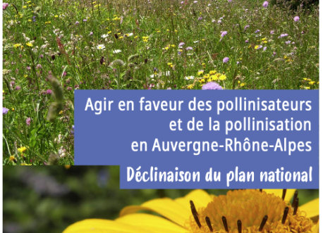 Plan régional pollinisateurs et pollinisation