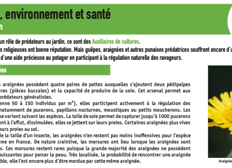 Les prédateurs au jardin