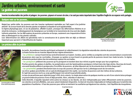 Fiche Biodiversité Gestion des pucerons