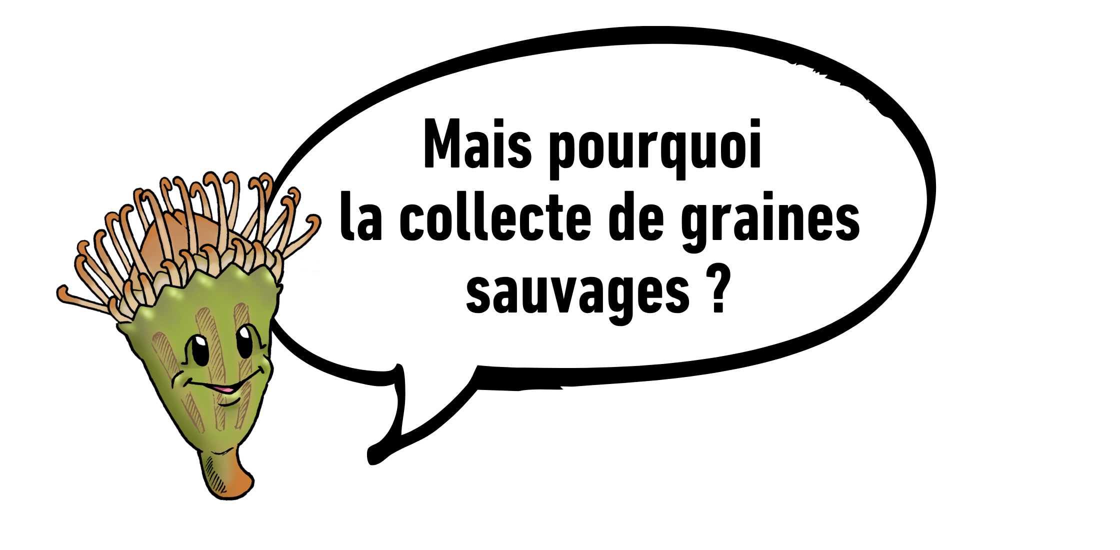 question%20graine%20sauvage