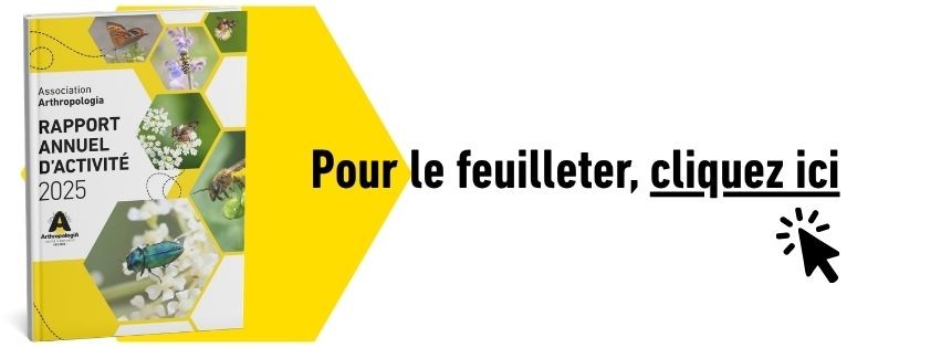 Rapport%20d'activite%CC%81%202025%20clic Rapport%20d'activite%CC%81%202025%20clic