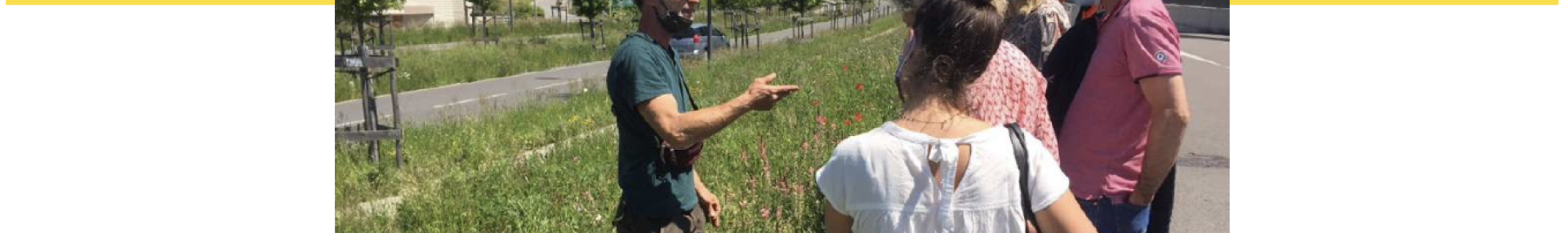 Rapport d'activités 2021 - ARTHROPOLOGIA