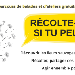 Fête de clôture du parcours 