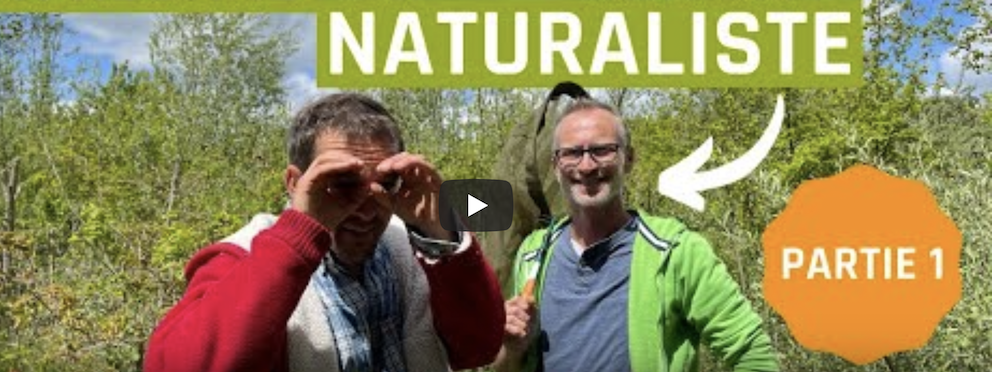 regard_naturaliste_fogo_couv