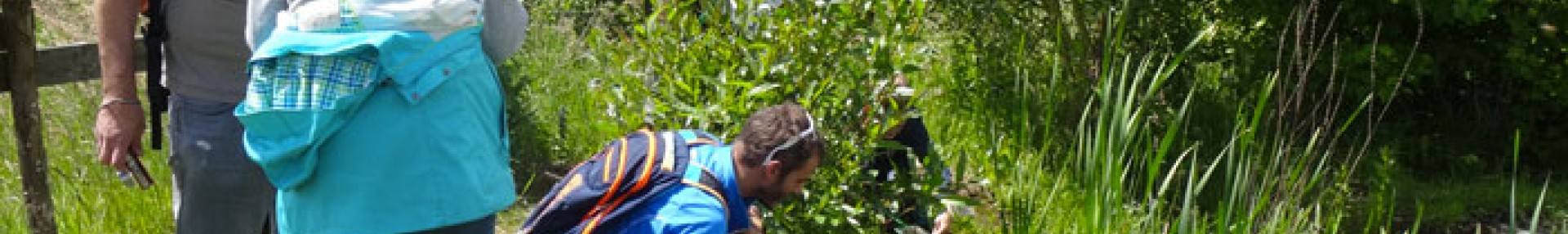 Grand public - ARTHROPOLOGIA