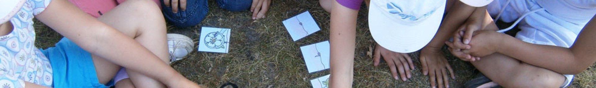 Scolaire et loisirs - ARTHROPOLOGIA