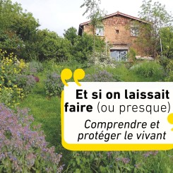 Rencontre avec Hugues Mouret à Semur-en-Brionnais