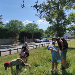 Biodiversité au jardin : chantier participatif au Petit Jardin Jules Guesde !