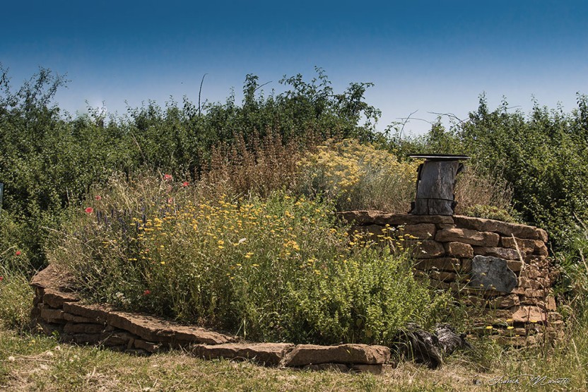 Spirale à aromatiques, Ecocentre du Lyonnais