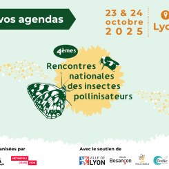 4e Rencontres nationales des insectes pollinisateurs