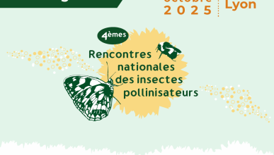 4e Rencontres nationales des insectes pollinisateurs