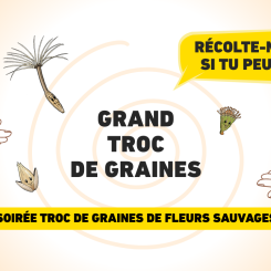 Récolte-moi si tu peux : Grand troc de graines !