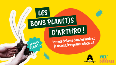 Bons plan(t)s d’Arthro 2025 : Je mets de la vie dans les jardins : je récolte, je replante « local » !