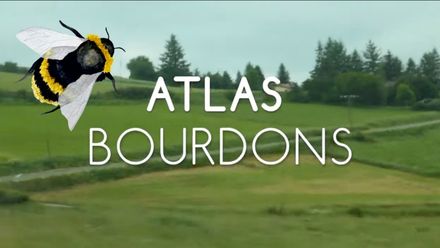 Atlas bourdon