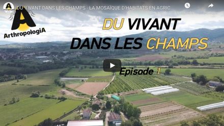 du vivant dans les champs