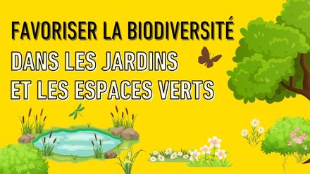 favoriser la biodiversité