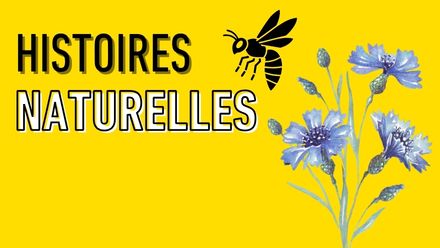 histoire naturelle
