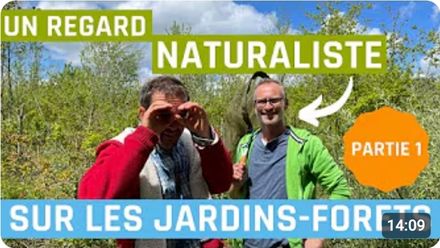 jardin forêt