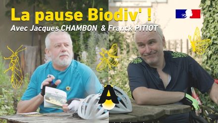 Pause biodiv