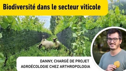 Biodiversité viticole