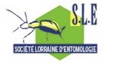 SLE
