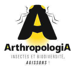 Logo-Arthropologia_w