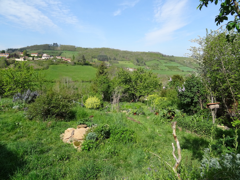Jardin_stpierre250421r